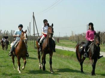 Agriturismo La Riccardina Будрио Екстериор снимка